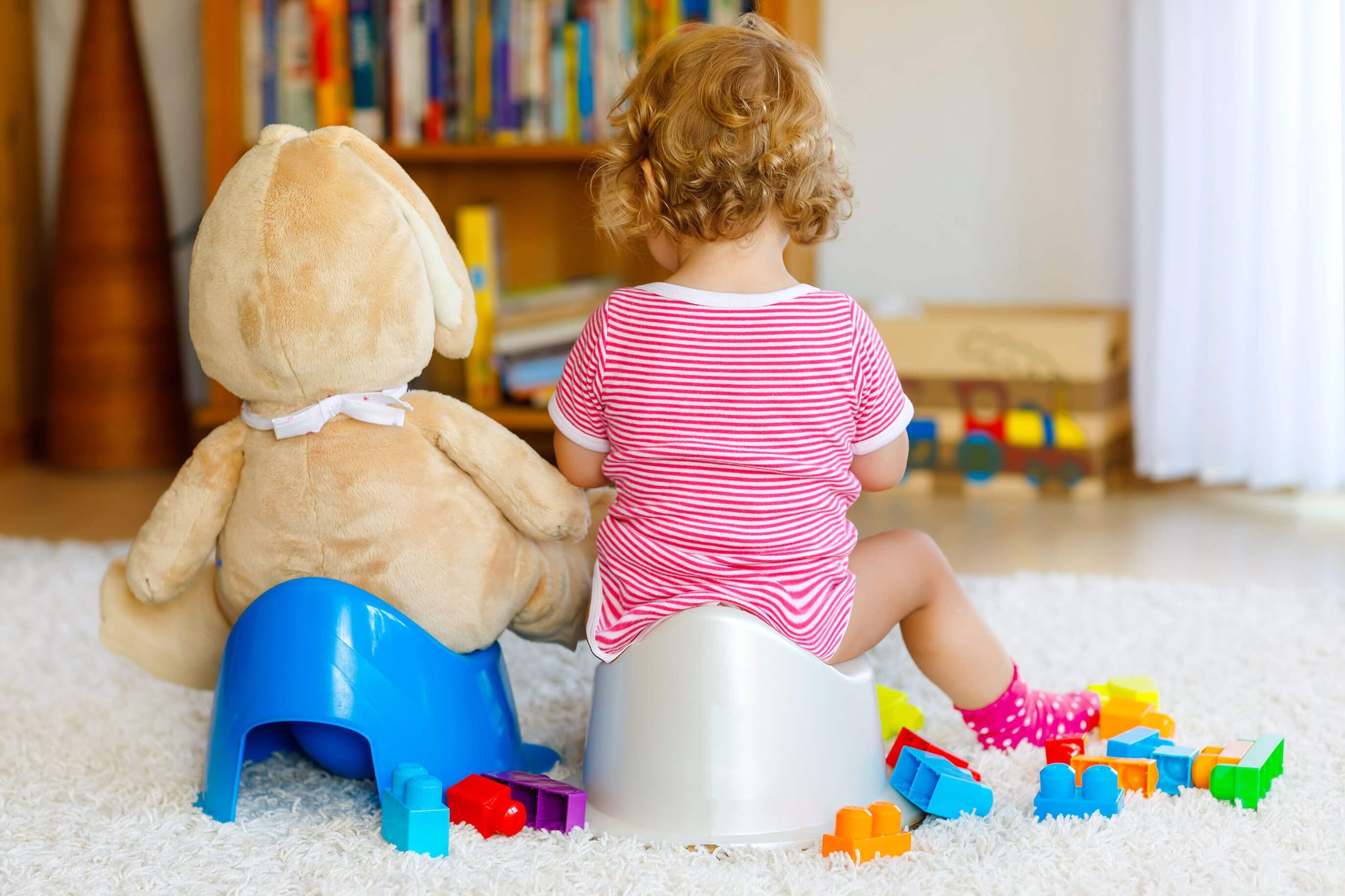 Toddler sitting on a toddler toilet